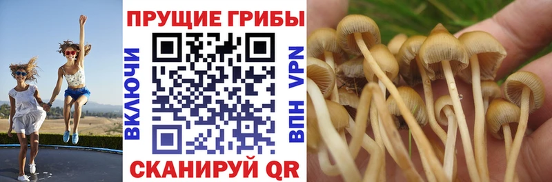 Купить закладки  Ухта  Псилоцибиновые грибы Magic Shrooms 